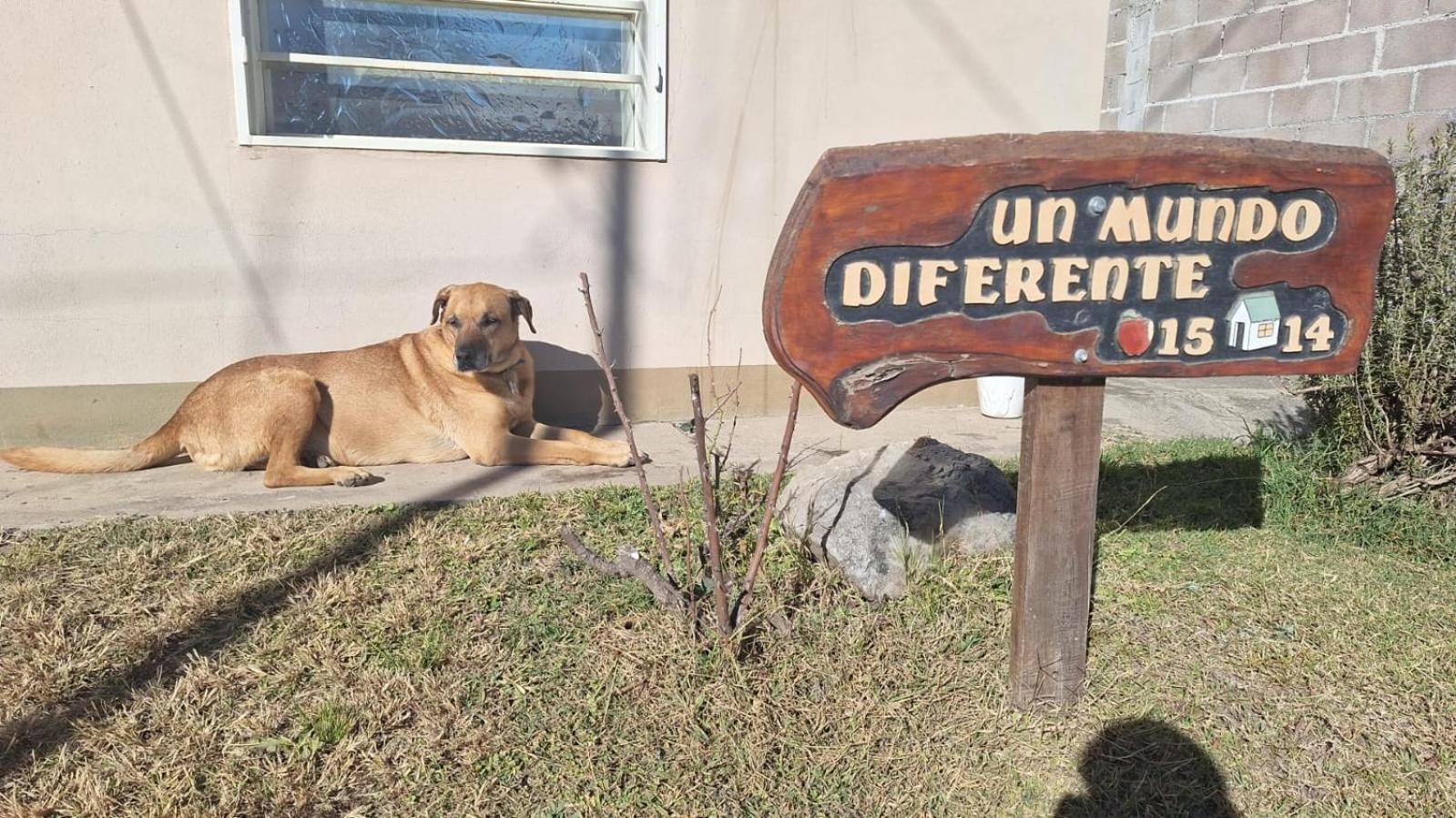 Casa En Montana 2 Con Cochera, Apto Mascotas